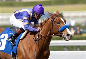 Photo Gallery Princess Arabella